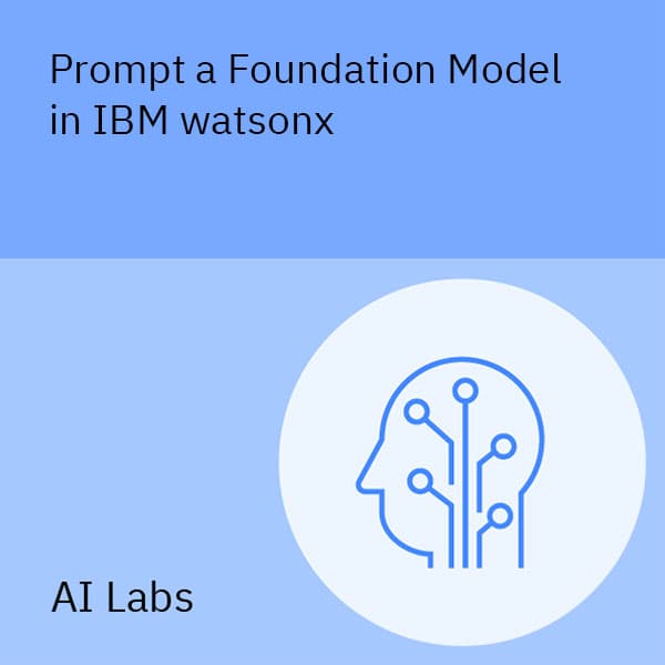 IBM watsonx'ta bir Temel Model İste